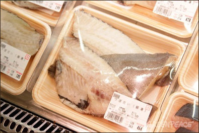 20111108-Greenpeace Japan fish IMG_0828.JPG